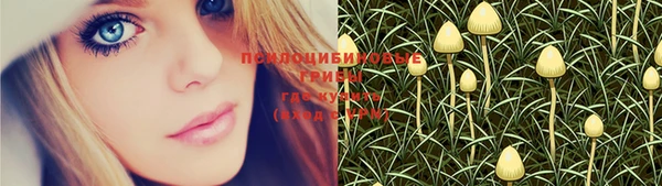 стаф Михайлов